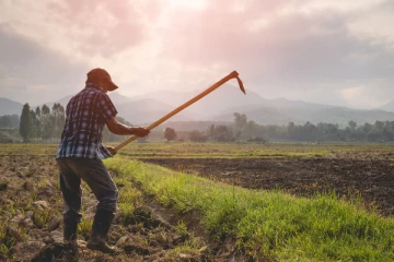 இலங்கை விவசாயிகளுக்கு மகிழ்ச்சியான செய்தி