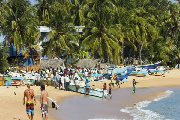 இலங்கைக்கு இந்த துறையின் மூலம் குவிந்த பெருந்தொகை டொலர்கள் | Sri Lanka Earned Big Dollars In Department Tourism