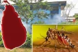 அதிக ஆபத்துள்ள சுகாதார அதிகாரி பிரிவுகள் அடையாளம்! பொதுமக்களுக்கு முக்கிய அறிவுறுத்தல்