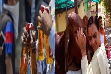 பால் குடிங்க , சரக்கு வேண்டாம் : பசுக்களை கட்டி போராட்டம் நடத்திய உமா பாரதி