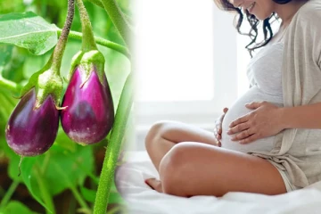 கர்ப்பிணிகள் கத்தரிக்காயை சாப்பிடலாமா? - நிபுணர்கள் கூறும் கருத்து