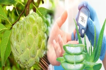 சுகரை கட்டுக்குள் வைக்கணுமா? வெறும் வயிற்றில் இந்த இலைகளை சாப்பிட்டால் போதும்