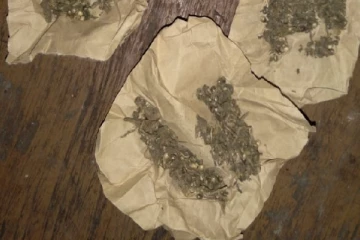 சாவகச்சேரியில்  இராணுவ புலனாய்வு பிரிவினால் இளைஞன் கைது(Photo)