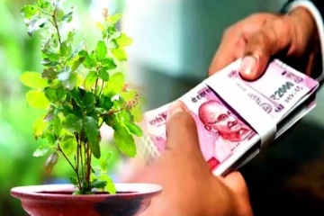 தீராத கடன் சுமையை விரட்டியடிக்கும் சக்தி வாய்ந்த பரிகாரம்.. உடனே செய்யுங்கள்