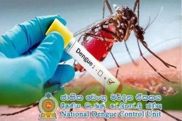 நாட்டில் அதிகரித்த டெங்கு நோயாளர்கள்: அபாய வலயங்களாக வடக்கு உட்பட 4 பிரிவுகள்