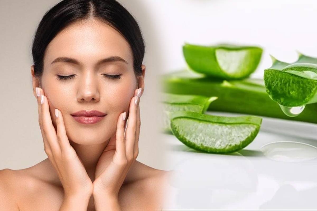 வெயிலில் முகம் கருப்பாகாமல் இருக்க உதவும் கற்றாழை.., எப்படி பயன்படுத்துவது? | Aloe Vera Face Packs For Tan Removal In Tamil