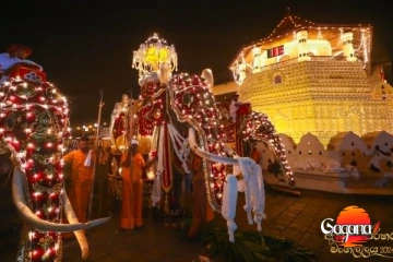 මහනුවර ඇසළ පෙරහැරේ අවසන් කුඹල් පෙරහැර අද