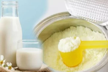 துறைமுகத்தில் சிக்கியுள்ள பால்மா கொள்கலன்களால் ஏற்பட்டுள்ள சிக்கல்