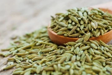 பெருஞ்சீரகத்தை தொடர்ந்து சாப்பிட்டு வருவதால் கிடைக்கும் நன்மைகள் என்ன தெரியுமா?