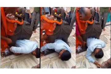 கோவிலில் யானை சிலைக்கு கீழ் சிக்கிக்கொண்ட இளைஞர் - வைரலாகும் அதிர்ச்சி வீடியோ...!