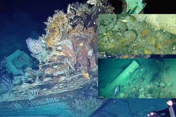 பல டன் தங்கம் வைரமுடன் மூழ்கிய கப்பல்... 300 ஆண்டுகளுக்கு பிறகு மீட்பு: மலைக்க வைக்கும் அதன்மதிப்பு