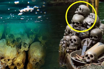 இந்தியாவில் பீதியை கிளப்பும் மர்ம தீவு: தொடரும் மர்மத்தின் பின்னணி என்ன?