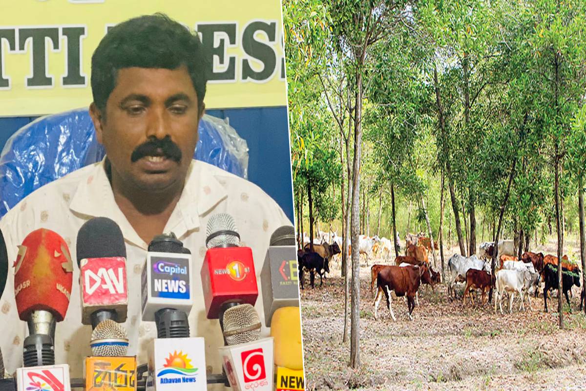 மேய்ச்சல் காணிகளை விடுவிக்கக் கோரிக்கை: தவறான காணொளிகளை வெளியிடுவோருக்கு கண்டனம் | Demand To Release Grazing Lands மேய்ச்சல் காணிகளை விடுவிக்கக் கோரிக்கை: தவறான காணொளிகளை வெளியிடுவோருக்கு கண்டனம் | Demand To Release Grazing Lands