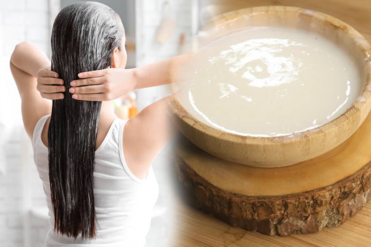 மென்மையான கூந்தலை பெற உதவும் கொரியன் ஹேர்மாஸ்க்.., எப்படி தயாரிப்பது? | Homemade Natural Hair Pack For Soft Hair