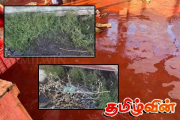 சுகாதார சீர்கேட்டுடன் இயங்கிய இறைச்சி விற்பனை நிலையம் சீல் வைப்பு