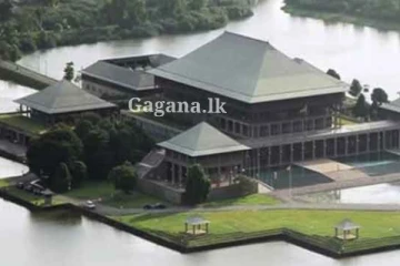 සුකුමල දෑතින් රට කරවන්නට.. මෙවර පාර්ලිමේන්තුවට එන කාන්තා නියෝජනය මෙන්න..