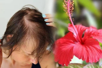 முடி உதிர்வை நிரந்தரமாக நிறுத்த உதவும் செம்பருத்தி.., எப்படி பயன்படுத்துவது?