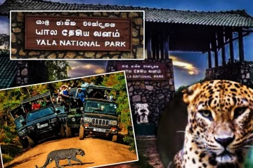 தற்காலிகமாக மூடப்படும் யால தேசியப் பூங்கா