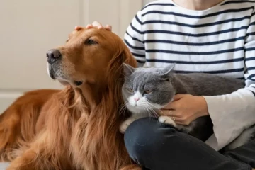 செல்லப் பிராணிகளை வைத்திருப்போருக்கு எச்சரிக்கை!