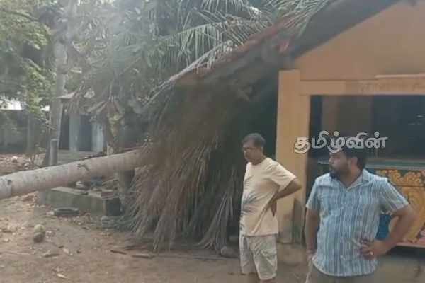 நல்லண்டை பத்திரகாளி அம்மன் ஆலயத்தில் குவிக்கப்பட்டிருந்த விறகு மீது விசமிகள் தீ வைப்பு | Fire Set On Pile Of Firewood Piled Up In Temple