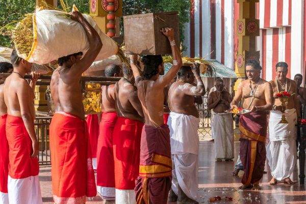 நல்லூர் கந்தசுவாமி தேவஸ்தானத்தின் நெற்புதிர் அறுவடை நிகழ்வு | Paddy Harvest Event At Nallur Kandaswamy Temple