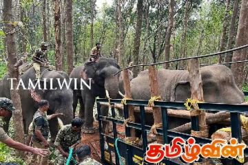 பயிர்களை சேதப்படுத்தும் வனவிலங்குகளை கணக்கெடுக்கும் படிவம்- வவுனியாவில் விநியோகம்