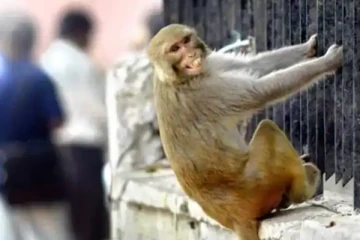 பொலிஸ் நிலையம் சென்றவருக்கு இப்படி ஒரு பரிதாப நிலை!