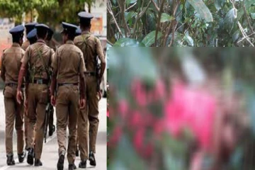 முச்சக்கரவண்டியில் வந்தவர்கள் இழுத்துச் சென்ற மாணவி சடலமாக மீட்பு