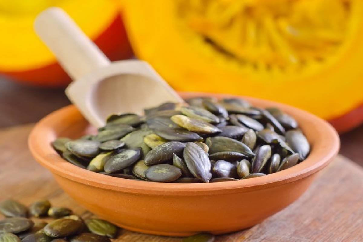 பூசணி விதைகள் சாப்பிடுவதால் கிடைக்கும் முக்கிய நன்மைகள் எவையென தெரியுமா? | Key Benefits Of Eating Pumpkin Seeds பூசணி விதைகள் சாப்பிடுவதால் கிடைக்கும் முக்கிய நன்மைகள் எவையென தெரியுமா? | Key Benefits Of Eating Pumpkin Seeds