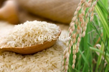 හදිසියේම සහල් මිලත් ඉහල යන ලකුණු ..? හේතුව මෙන්න..