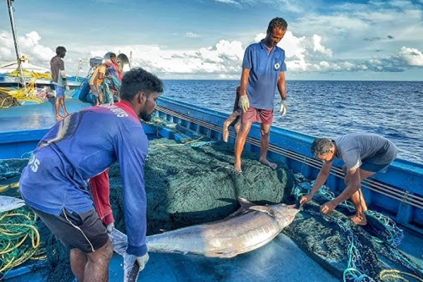 கடற்றொழிலாளர்களுக்கு மகிழ்ச்சி தகவல்: வருகிறது ஓய்வூதியத்திட்டம் | Government New Pension Scheme Pensioners