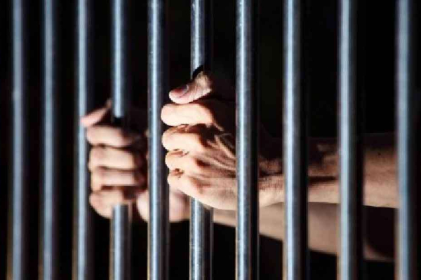 துனிசிய ஜனாதிபதியை விமர்சித்த எம்.பிக்கு சிறை! | Mp Jailed For Criticizing The President Tunisia