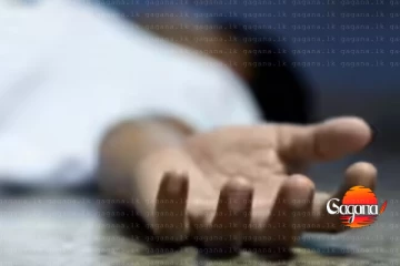 අනේ දෙවියනේ විදුලි රැහැනට බිලි වෙන්න ගිය එළුවා බේරගන්න ගිහින් පුංචි මල් කැකුළ දිවියෙන් සමුගනියි