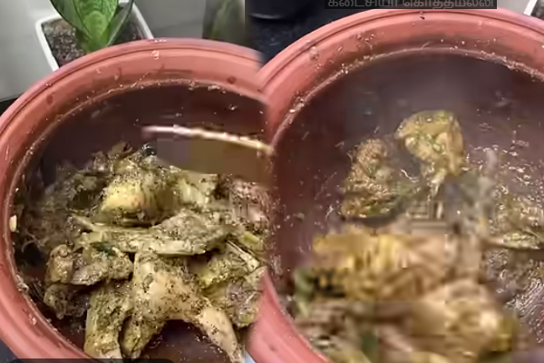 காரசாரமாக காடை பெப்பர் கிரேவி! ஹோட்டல் ஸ்டைலில் செய்வது எப்படி? | Hotel Style Quail Pepper Gravy Receipe