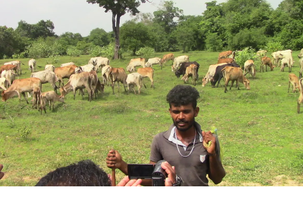 மைத்திரியின் திட்டமிட்ட சதி - வாழ்வுக்காக போராடும் தமிழர்கள் | Maithris Conspiracy Tamils Fighting For Life