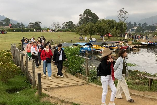 நுவரெலியாவில் நிலவும் குளிர் காலநிலை : குவியும் சுற்றுலாப் பயணிகள் | Cold Weather In Nuwara Eliya Tourists Flocking