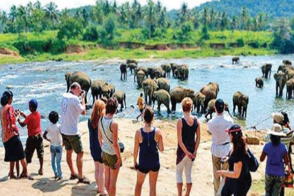 யாழ் - சென்னை விமான சேவை தொடர்பில் மகிழ்ச்சியில் சுற்றுலாத்துறை! | Tourists Are Happy Jaffna Chennai Flight Service