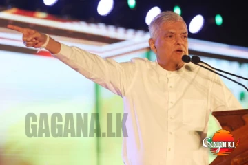 මාලිමා ආණ්ඩුවට විරුද්ධව රැලි 1000ක් තියමු සත්‍යග්‍රහ කරමු රනිල් වික්‍රමසිංහ ගර්ජන කරයි