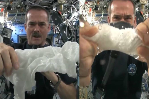 ஈரத்துணியை பிழிந்தால் ஜெல்லியாக மாறுகிறதா?  மீண்டும் வைரலாகும் வீடியோ காட்சி..! | Does The Wet Cloth Turn Into Jelly When Squeezed