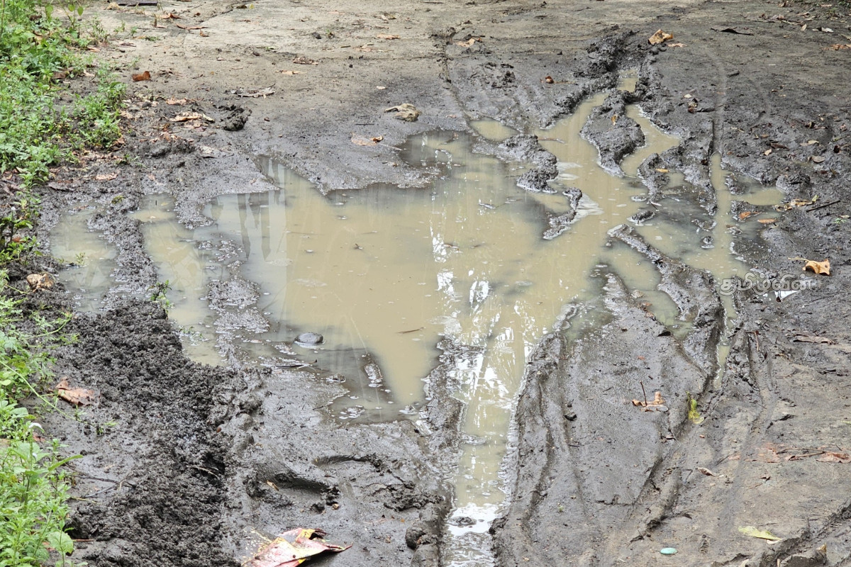 யாழில் வீதியை புனரமைக்க தயங்கும் மானிப்பாய் பிரதேச சபை! பொதுமக்கள் விடுத்துள்ள கோரிக்கை | Manipay Pradeshiya Sabha Reluctant Road In Jaffna