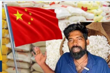 நாய்-பூனை கூட சாப்பிடாத உணவு தமிழர் பாடசாலைகளுக்கு! சீன அரசின் செயலால் வெடித்தது சர்ச்சை(Video)