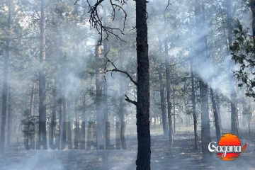 දියතලාවේ දරුණු ගින්නක්