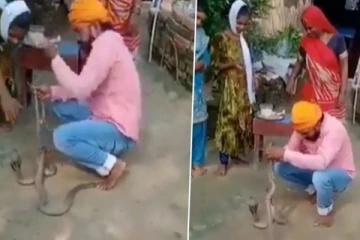 ‘எனக்கே ராக்கி கயிறா?’ - பாம்புகளுடன் ரக்‌ஷாபந்தன் கொண்டாட முயன்றவர் பலி