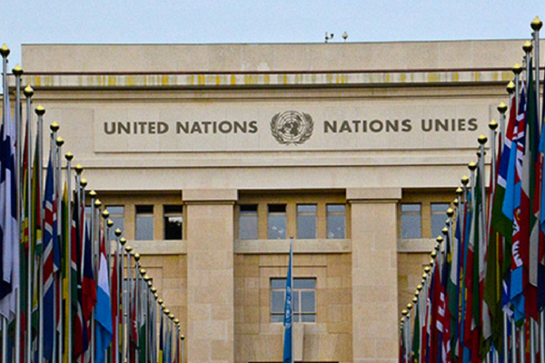 இலங்கைக்கு உதவ தயாராகும் ஐக்கிய நாடுகள் சபை! | Lanka Seeks Food Aid Un To Make Global Appeal