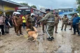 யாழில் மோப்ப நாய்களுடன் களமிறங்கிய பொலிஸார்