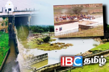 முத்தையன்கட்டுக் குளத்தில் இருந்து வெளிவந்த தொல்பொருள் அடையாளங்கள்!