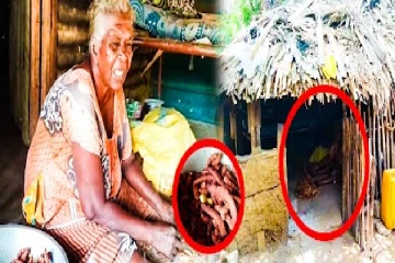 பார்வையிழந்த மூதாட்டியின் துயரம்! ஒருவேளை உணவிற்கு போராட்டம் (காணொளி)
