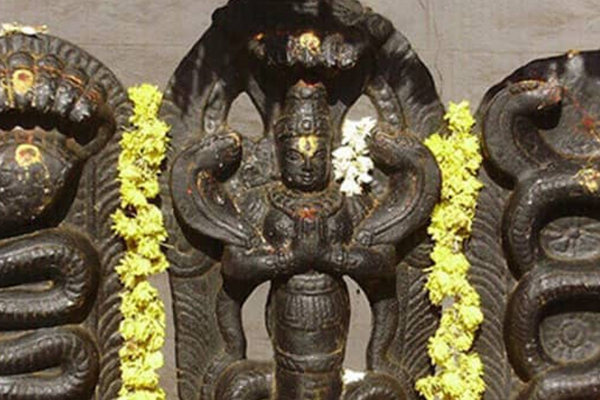 உங்கள் வாழ்க்கையில் உள்ள சிக்கல்கள் விலக நாக வழிபாடு செய்து பாருங்கள் | Naga Valipaadu For Kalasarpa Thosham In Tamil