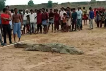 சிறுவனை விழுங்கிய முதலை.. வயிற்றை கிழித்து மீட்கும் வரை விடமாட்டோம் - மக்கள் மறியல்!