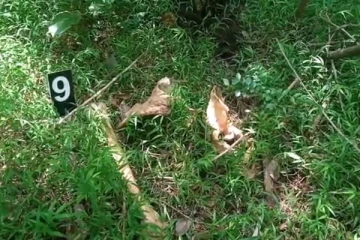 வவுனியாவில் மனித எச்சங்கள் மீட்பு (video)